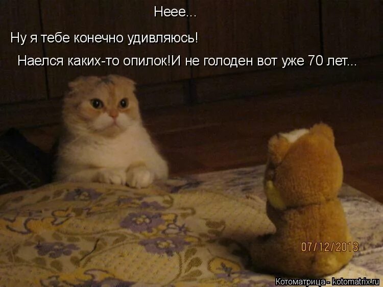 конечно удивила