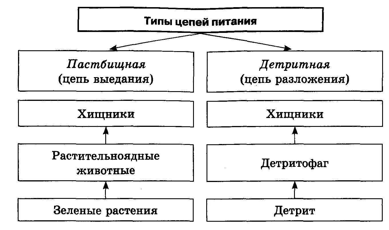 Виды цепей питания