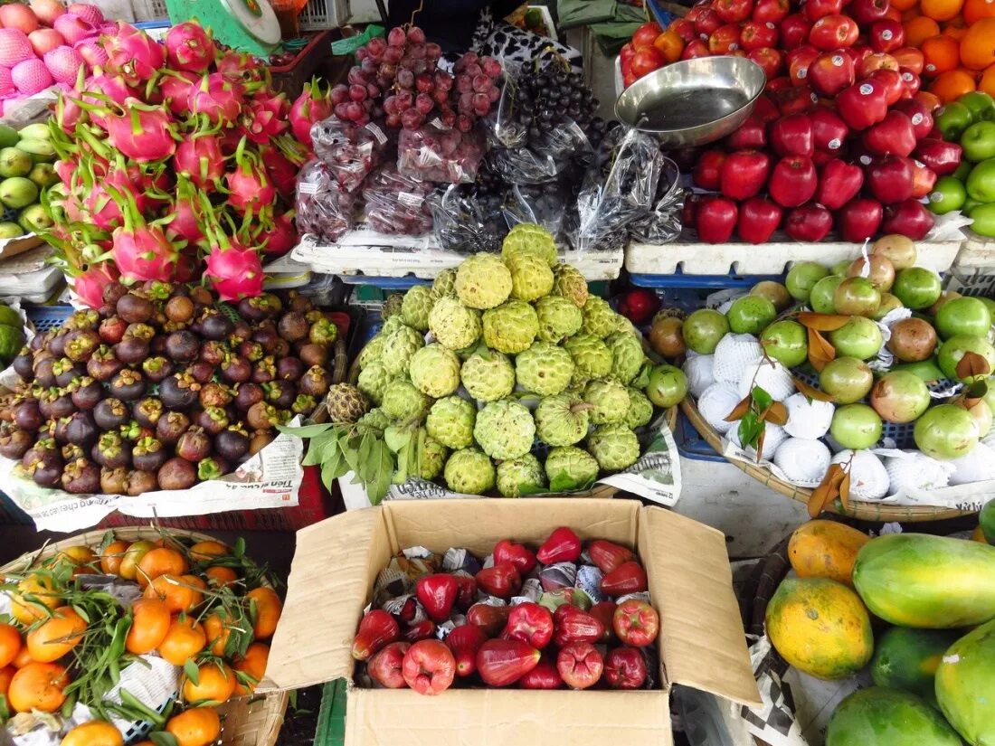 Бразильская пальма. Какой фрукт не вызревает в сочи растет. Какой фрукт не вызревает в сочи растет. Какой фрукт не вызревает в сочи растет. Пальма бутия плоды.