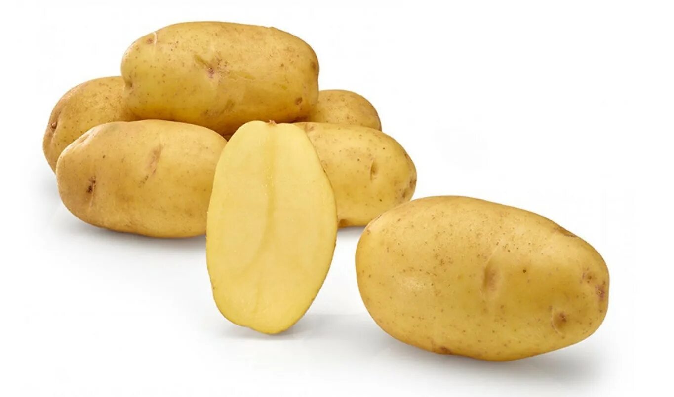 Лабелла картофель характеристика отзывы. Сорт.картофеля.Придеснянский. Картофель сорт Фиделия. Сильвана картофель. Сорт картофеля Эдисон.