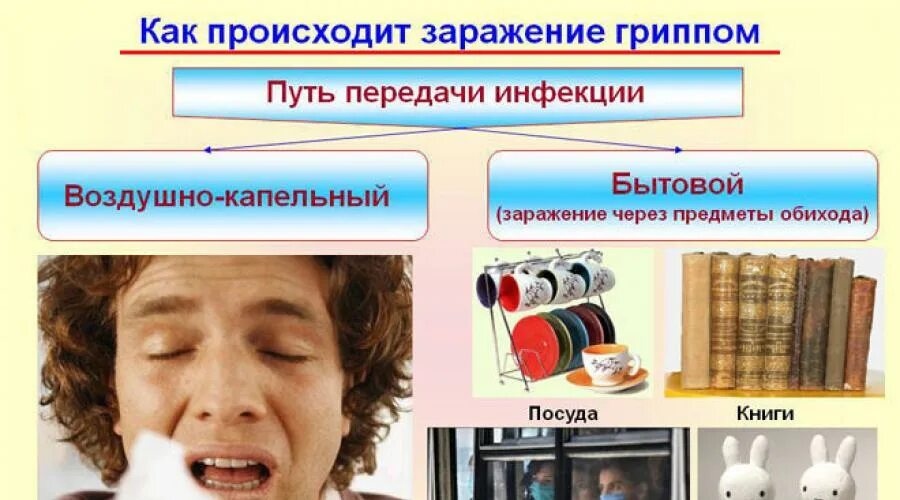 Передача инфекции