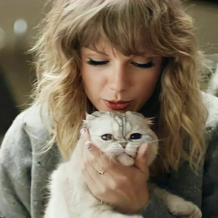 Кошка тейлор. Taylor Swift Cats. Коты Тейлор Свифт. Тейлор Свифт 2023.