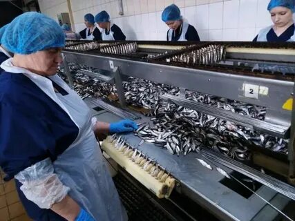 Авито работа великие луки вакансии водитель