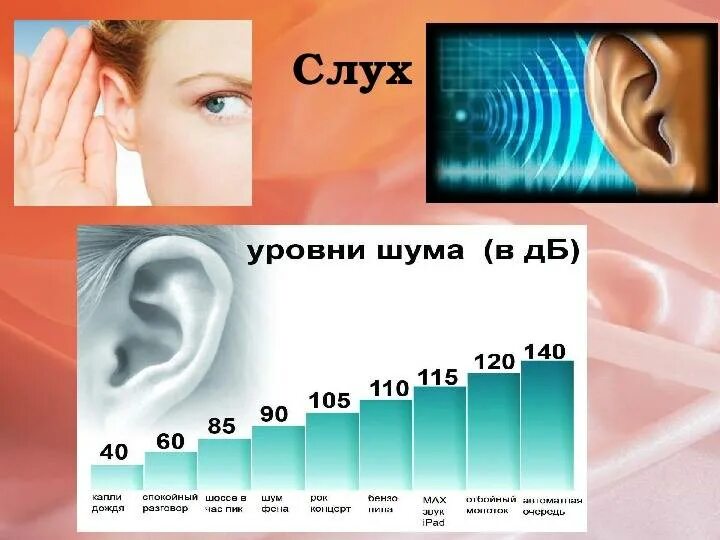 На рисунке приведены частоты воспринимаемые органами слуха. Слух человека. Диапазон слуха. Частота слуха человека. Норма слуха.