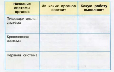Какую работу выполняет организм человека