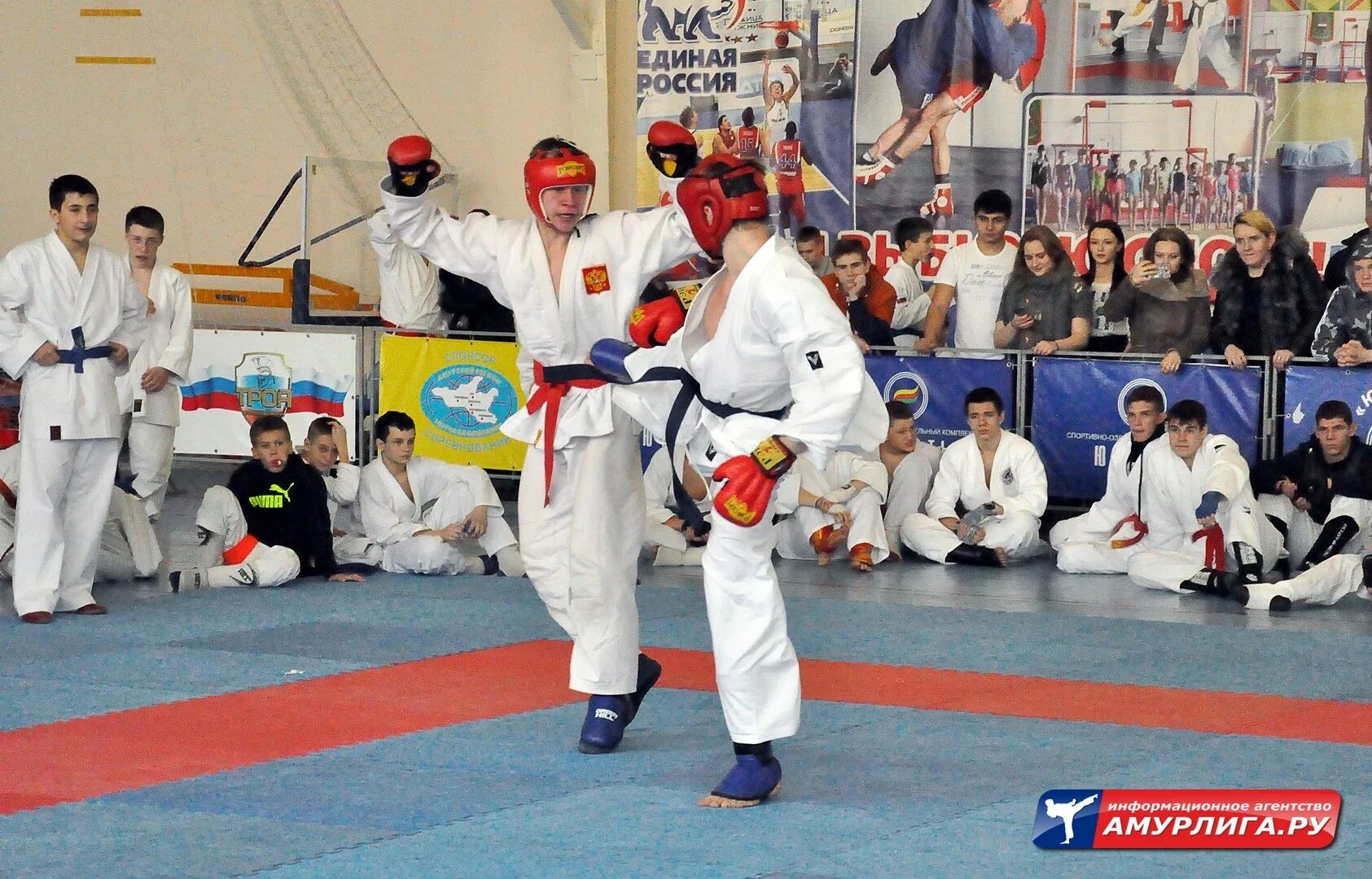 Выступление рукопашного боя. Армия природа. Сборная россии по рукопашному бою. Показательные выступления курсантов. Рукопашный бой в армии.