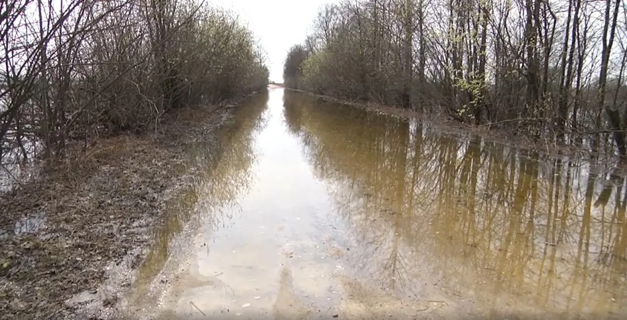 Река ока подъем уровня воды. Затопленная дорога. Затопление автодороги. Паводок в Муроме. Половодье реки.