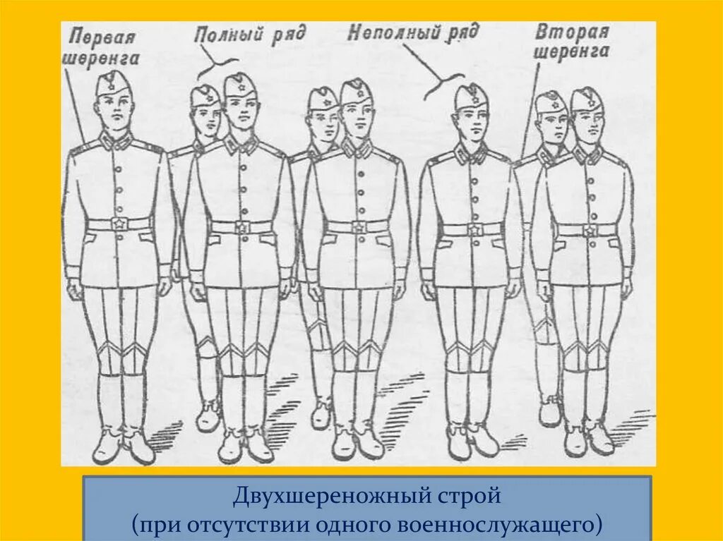 Развернутый строй одношереножный. Одношереножный строй и двухшереножный строй. Колонна шеренга линия. Шеренга и колонна. Элементы двухшереножного строя.