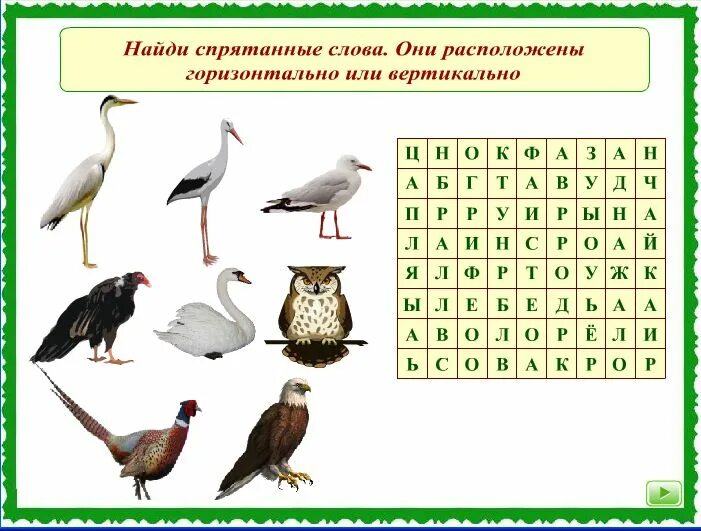 Филворд птицы. Филворд для детей начальной школы. Филворд на тему животные. Кроссворды о растениях и животных для начальной школы.