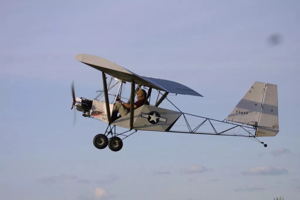 Milholland legal eagle. Самолет legal eagle ultralight чертежи. Legal eagle ultralight aircraft. Legal eagle самолет. Дельтаплан биплан.