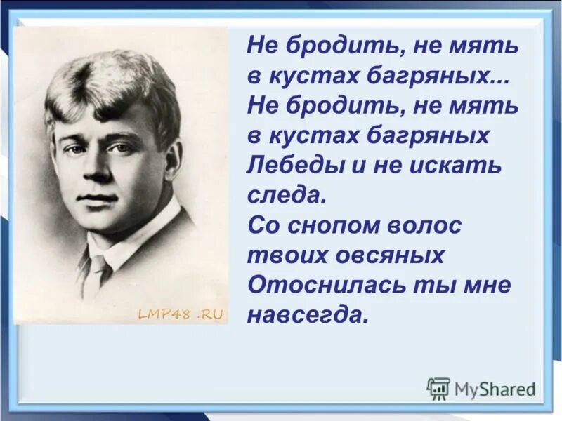 Стих не бродить не мять. Черный человек есенин метафоры. Шаганэ есенин. Не бродить не мять анализ стихотворения. Есенин и бальзамова.