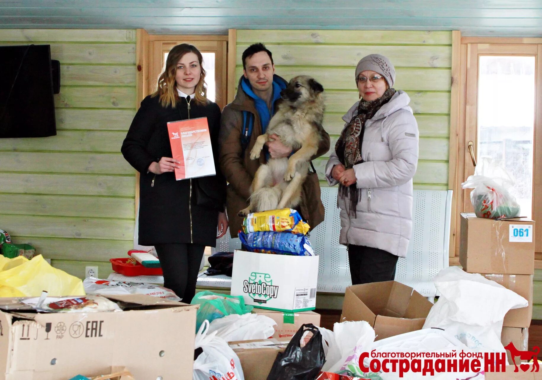 Приют сострадание в нижнем новгороде для животных