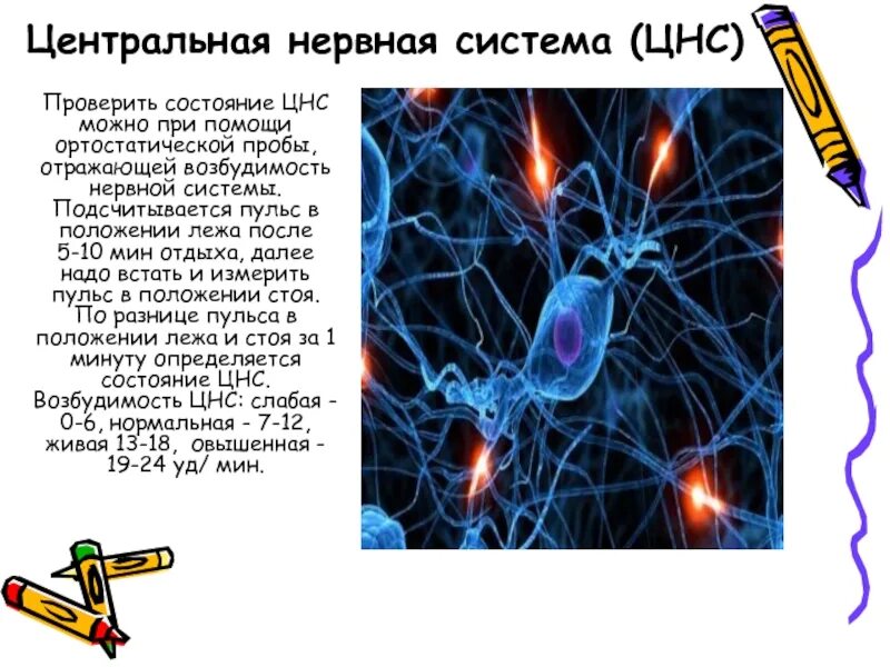 Состояние нервной системы определяется пробой. Состояние нервной системы. состояние центральной нервной системы определяют:. цнс как проверить. статус про нервную систему.