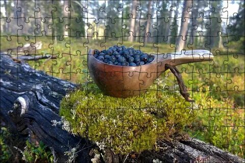 Сроки сбора брусники
