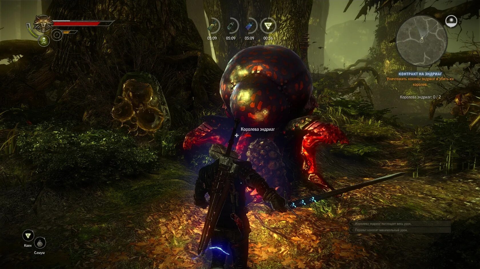 Ведьмак 2 геймплей начало. Королева эндриаг ведьмак 2. Саския ведьмак 2. Ведьмак 2 королева. Мэва королева лирии.