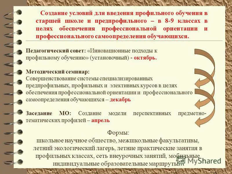 Школьное лесничество. Название школьного лесничества. Вдц океан юнармия. Профильно тематическая. Школьное лесничество.
