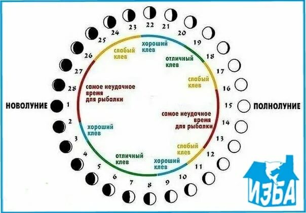 Календарь клева рыбы по фазам Луны. Календарь рыбака по фазам Луны. Клев рыбы по фазам Луны таблица. Лунный календарь рыболова на 2021. Можно ли сажать в новолуние