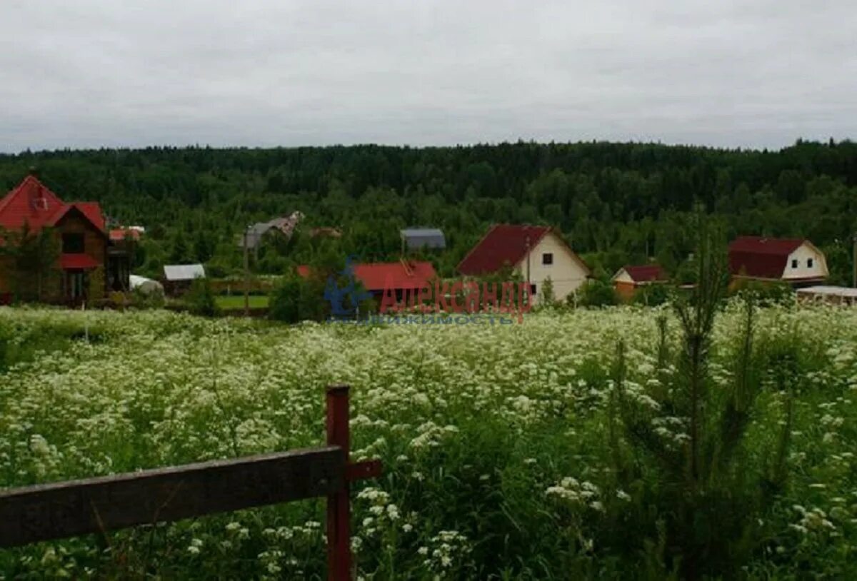 Продам участок в ленинградской. СНТ Выборгский район. СНТ Приречное Выборгский р-н. Приречное Выборгский район СНТ Выборгский район. СНТ Приречное Выборгский район ЛО.