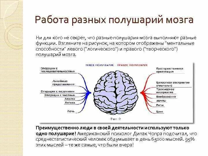 Правом полушарии. Какое полушарие отвечает за мышление. Разные полушария мозга. Работа левого полушария. Доминантное полушарие мозга.