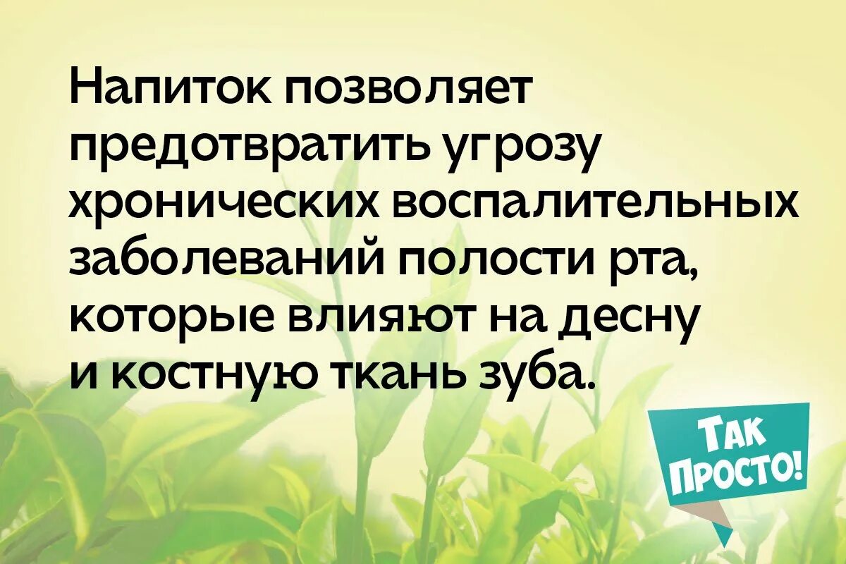 Почему говорит зеленый. Почему нельзя зеленый чай. Почему нельзя часто пить зеленый чай. Велкейд почему нельзя пить зеленый чай.