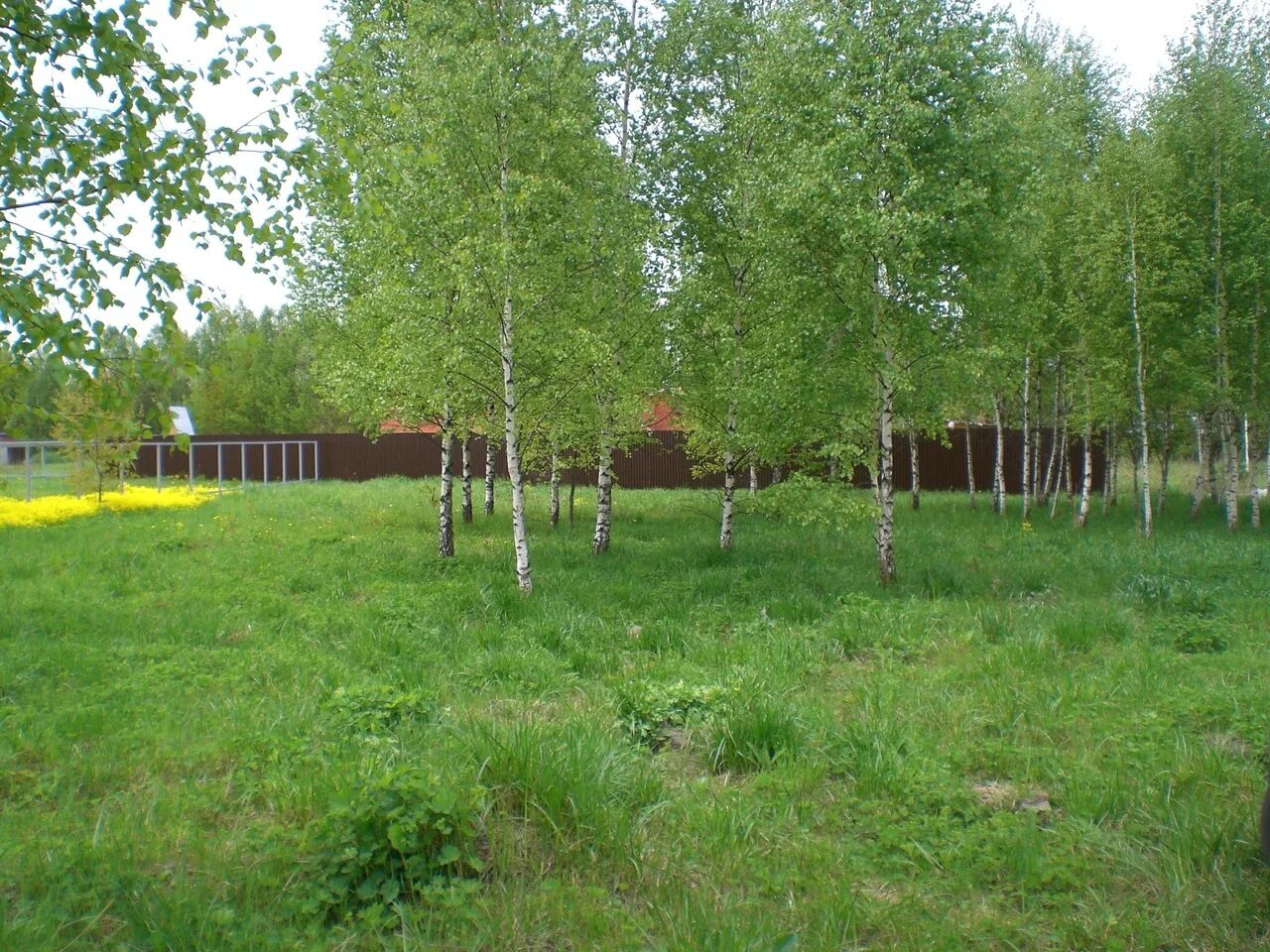 Земля ижс. Новолуговое новосибирская область. Коттеджный поселок качимовка. Станция хрипань деревня поповка. Земельный участок в новосибирс.