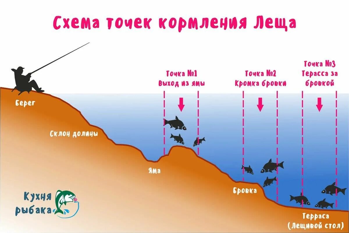 Место ловли леща на фидер. Перспективные места для ловли фидером. Точка ловли на фидер. Рельеф дна ловля на фидер. Клева гид