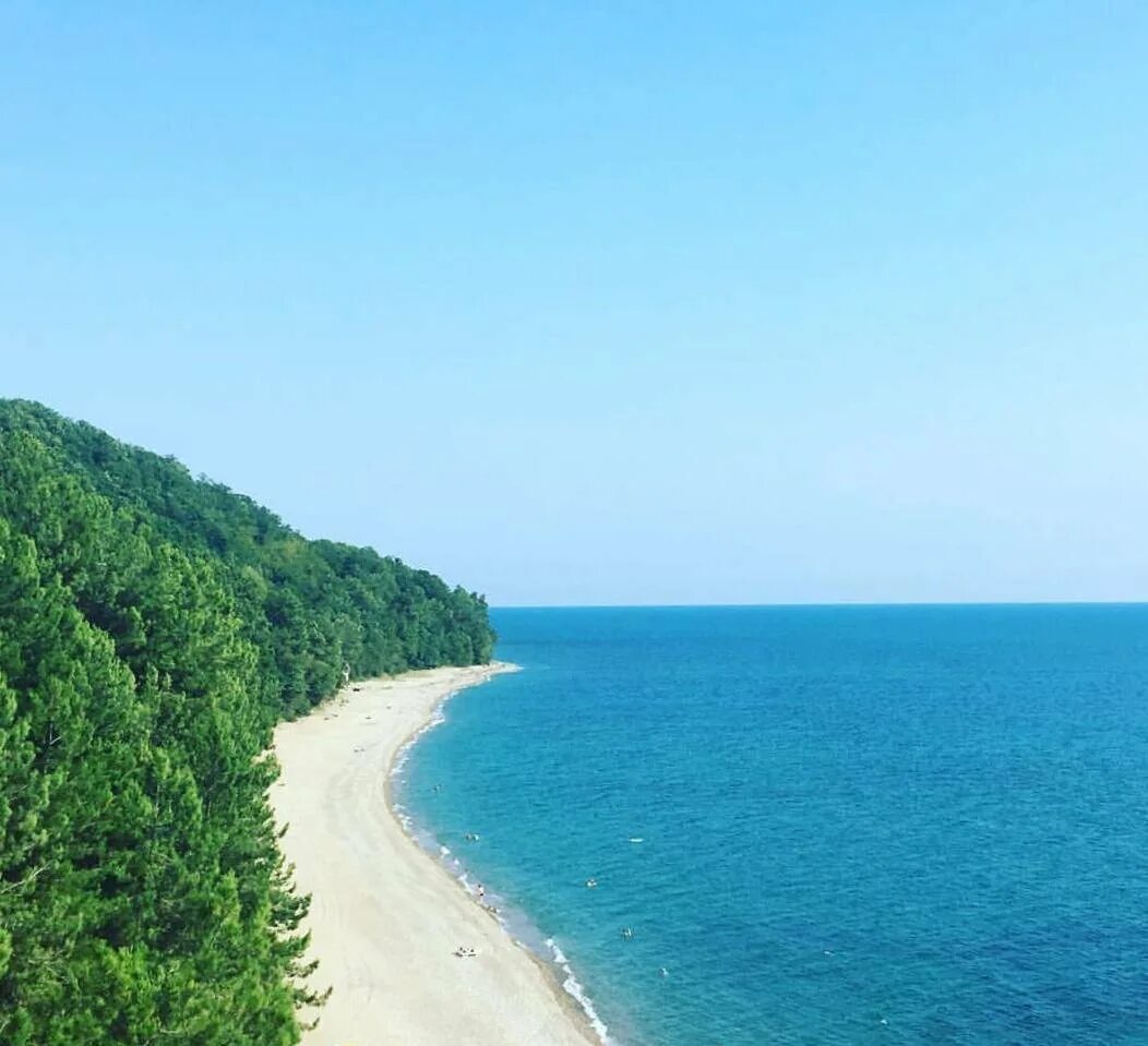 Море абхазия пицунда. Пляж Пицунда Абхазия. Мыс Пицунда Абхазия. Пицундо-Мюссерский заповедник. Пицунда песчаный пляж.