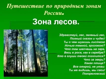 Лесная зона представлена