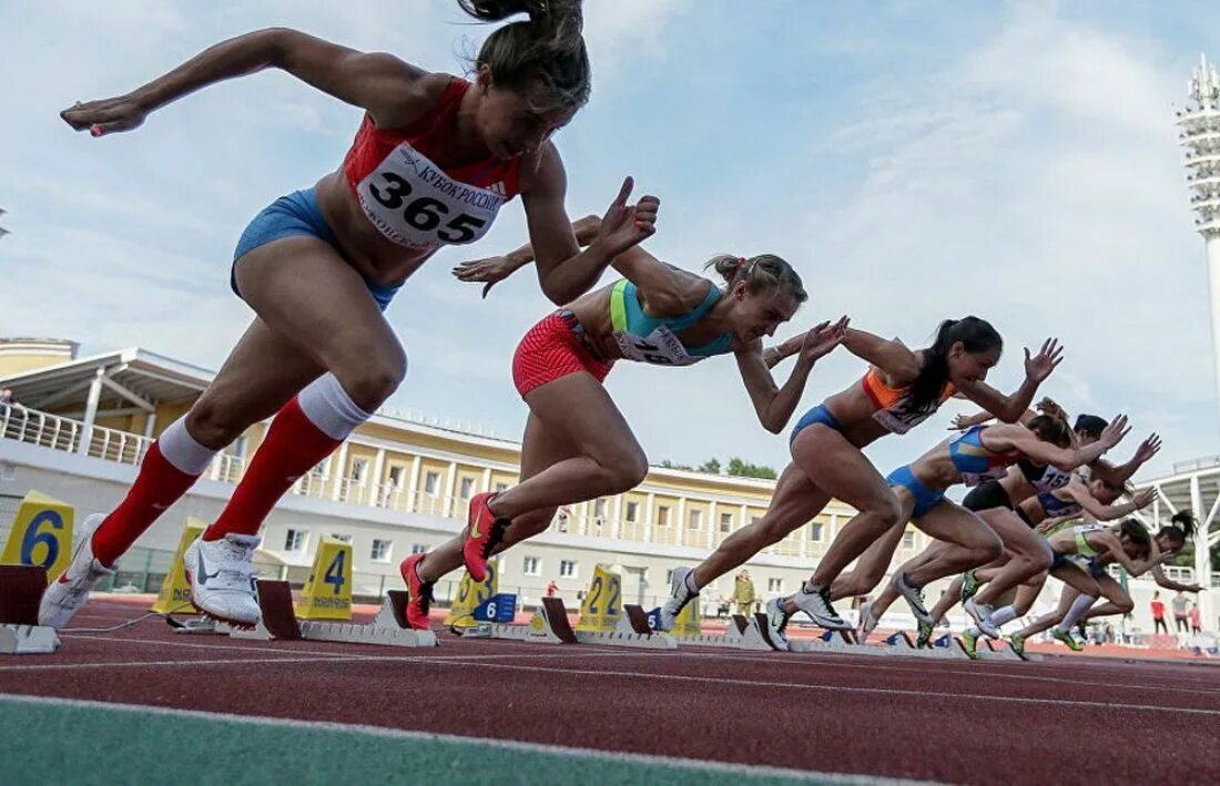 Виды спорта. Любимые зимние виды спорта. Виды спорта. Спортсменки на старте. Спорт находится.
