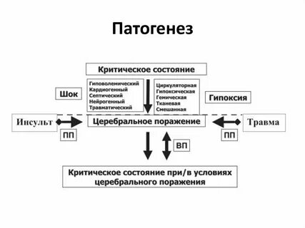 Патогенез инсульта