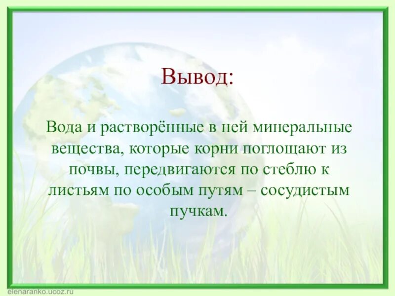 Передвижение по стеблю растворенных Минеральных веществ. Передвижение воды и Минеральных веществ по стеблю. Передвижение воды и Минеральных веществ по стеблю вывод. Вывод про растения. Лабораторная работа по биологии передвижение воды