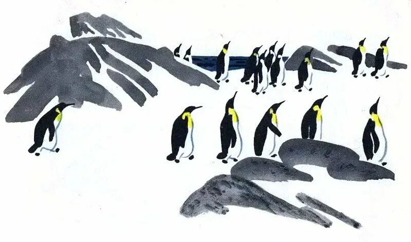 Рассказ г Снегирева Пингвин и пляж. Г Снегирев про пингвинов Пингвиний пляж. Пересказ рассказов про пингвинов старшая