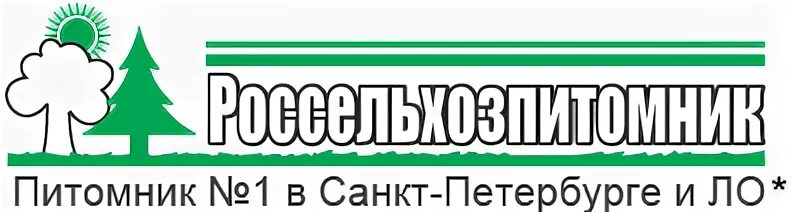 Питомник растений Санкт-Петербург. Питомник СПБ. Россельхозпитомник Ропшинское. Питомник Ропшинское шоссе. Сайты питомников растений в спб