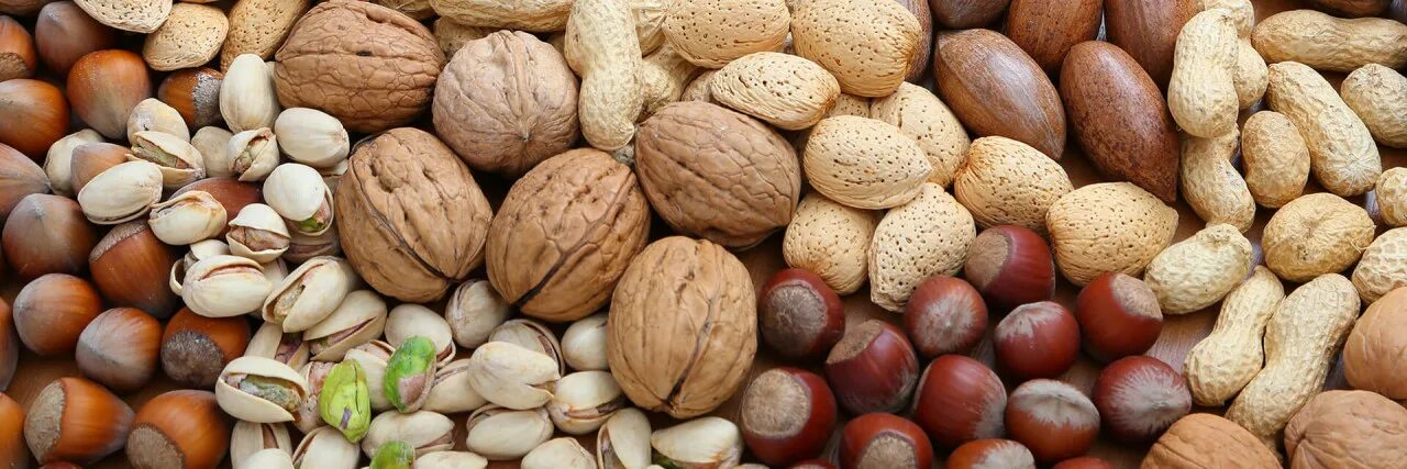 Gone nuts. Nuts. Nuts mobile. Nut and go.