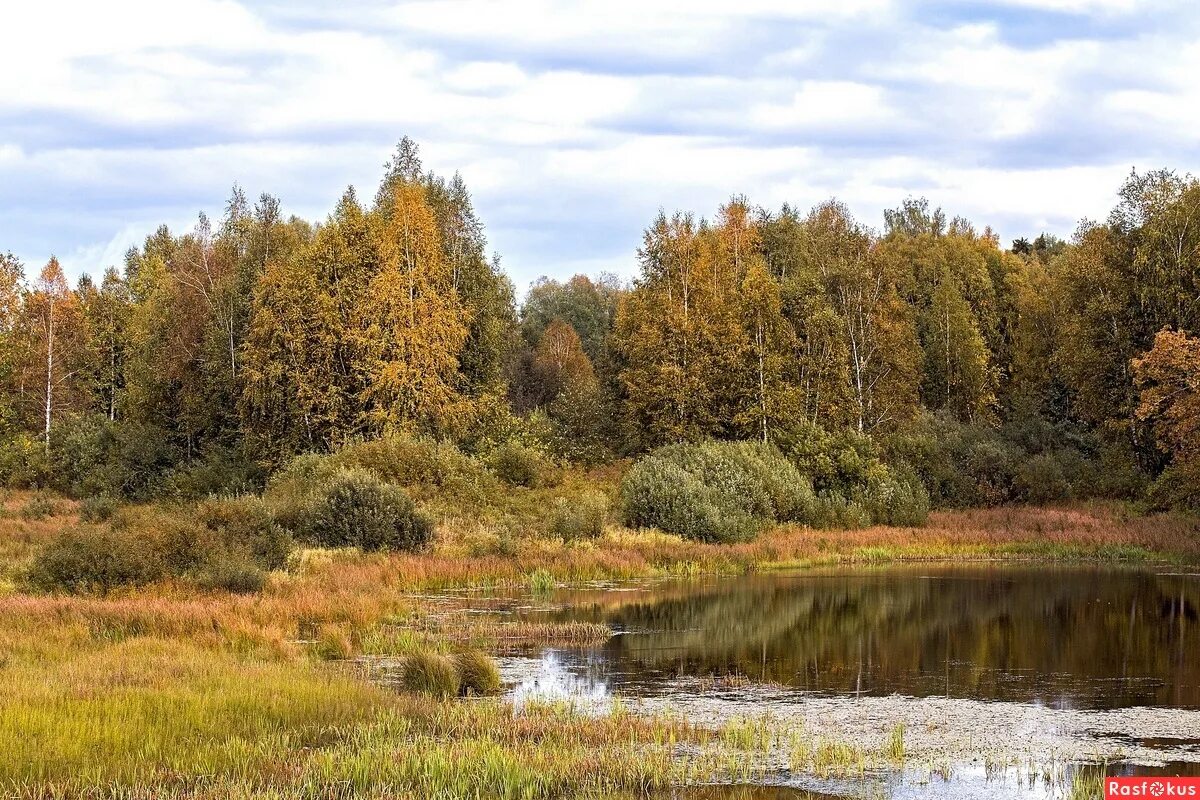 заповедный уголок. , 16 к 3 южное медведково р-н, ст. заповедный уголок. заповедная 16 к 1. база отдыха мещерский скит.
