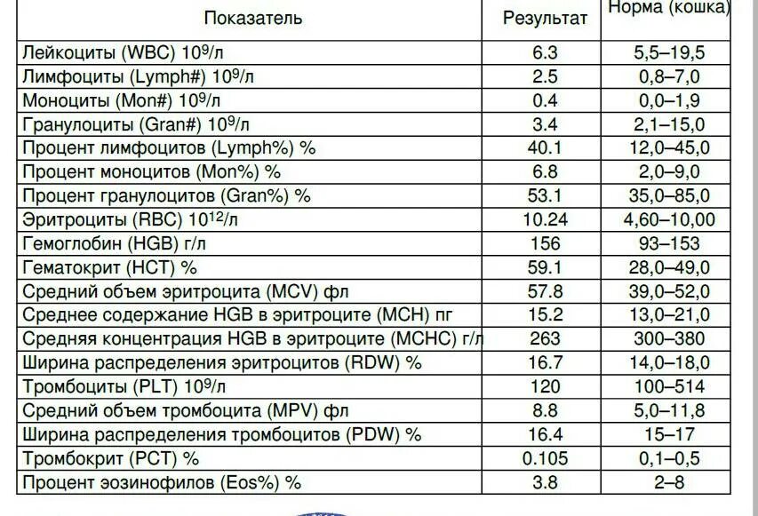 Тромбоциты pdw повышен. Расшифровка анализа крови общий у детей PCT. Клинический анализ крови норма таблица PCT. Общий анализ крови расшифровка у женщин после 50 норма норма. Тромбокрит в анализе крови норма.