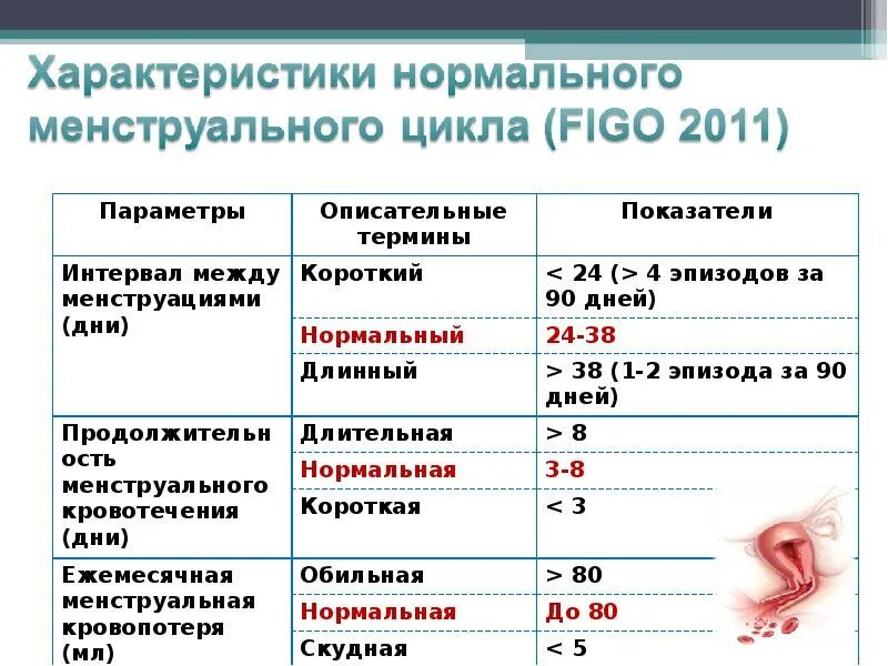 Перерыв между месячными норма. Цикл менструационного цикла норма. Промежуток между месячными норма. Нормальный промежуток между циклами месячных. Через сколько дней начинают месячные