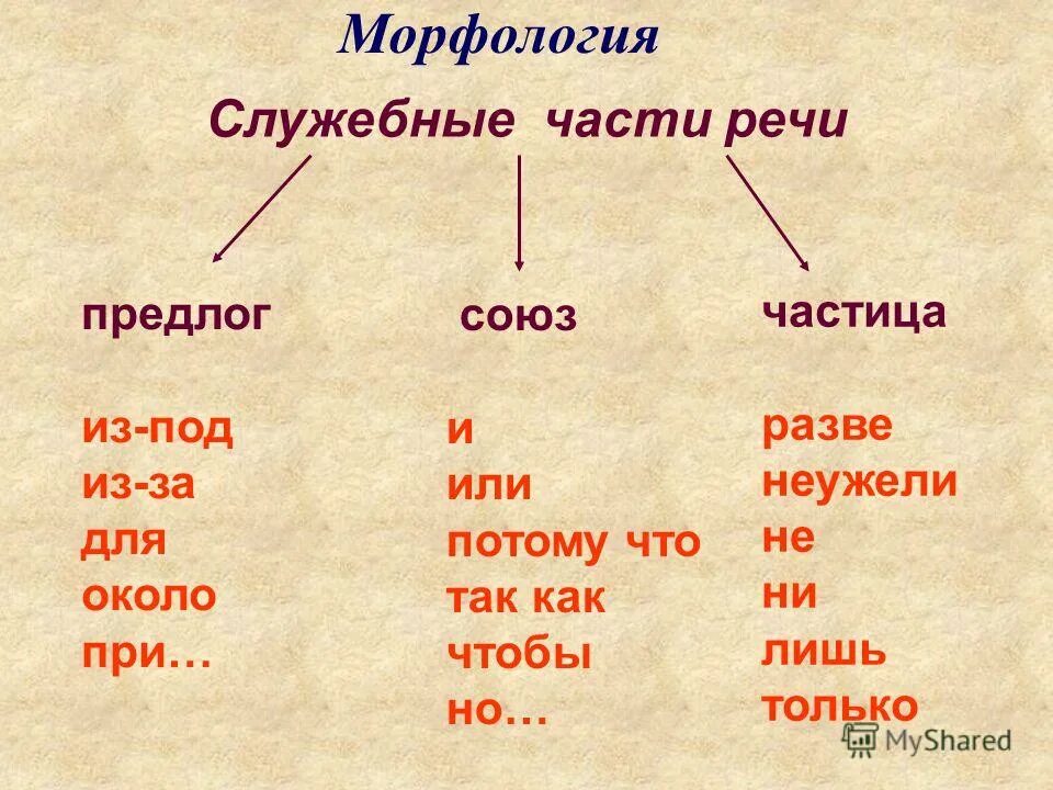 Что такое под. Предлоги частицы и Союзы в русском языке. Предлоги Союзы частицы таблица. Союзы и частицы в русском языке. Служебные части речи предлоги Союзы частицы.