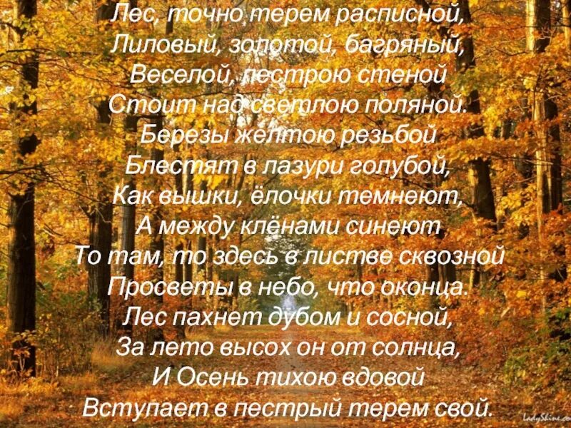 Веселой пестрою стеной. Бунин ...лес....лиловый золотой. Бунин лес словно Терем расписной. Лиловый золотой багряный стих Бунин. Стихотворение Бунина лес словно Терем расписной.