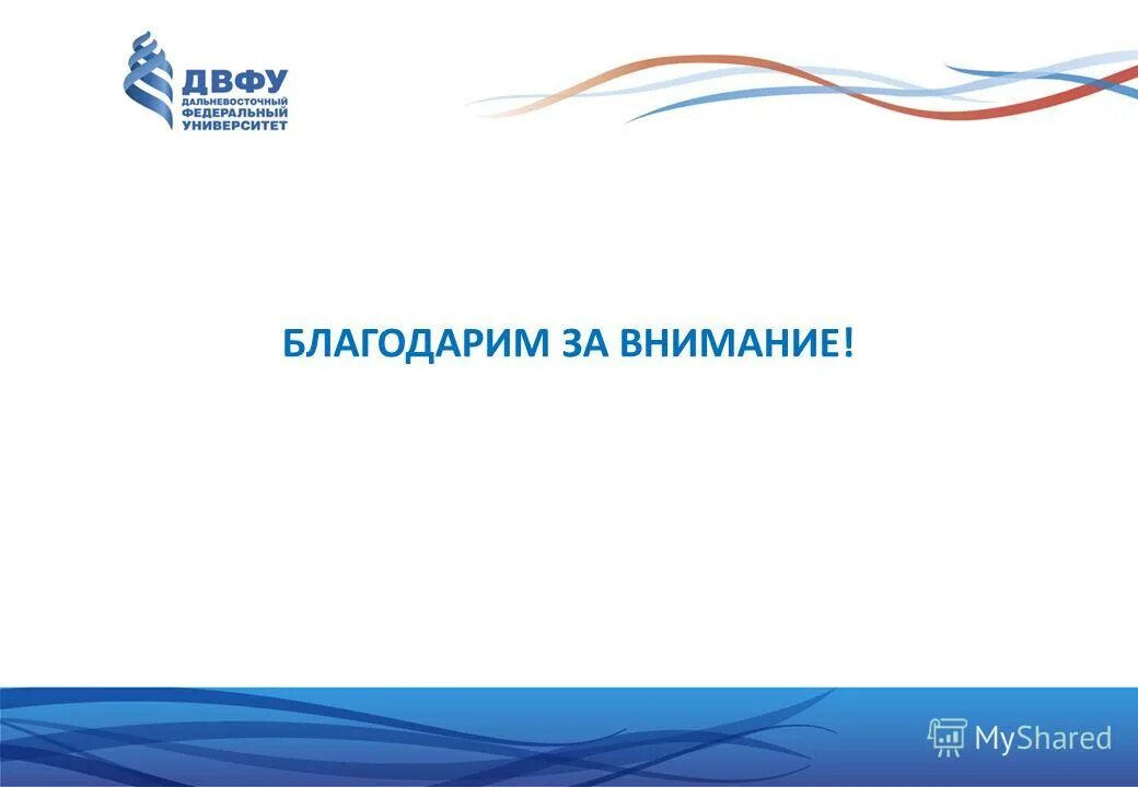 шаблон презентации двфу. шаблон презентации двфу. оформление презентации двфу. презентация двфу. двфу шигн.