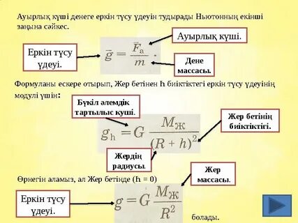 Тілі бар минет басы