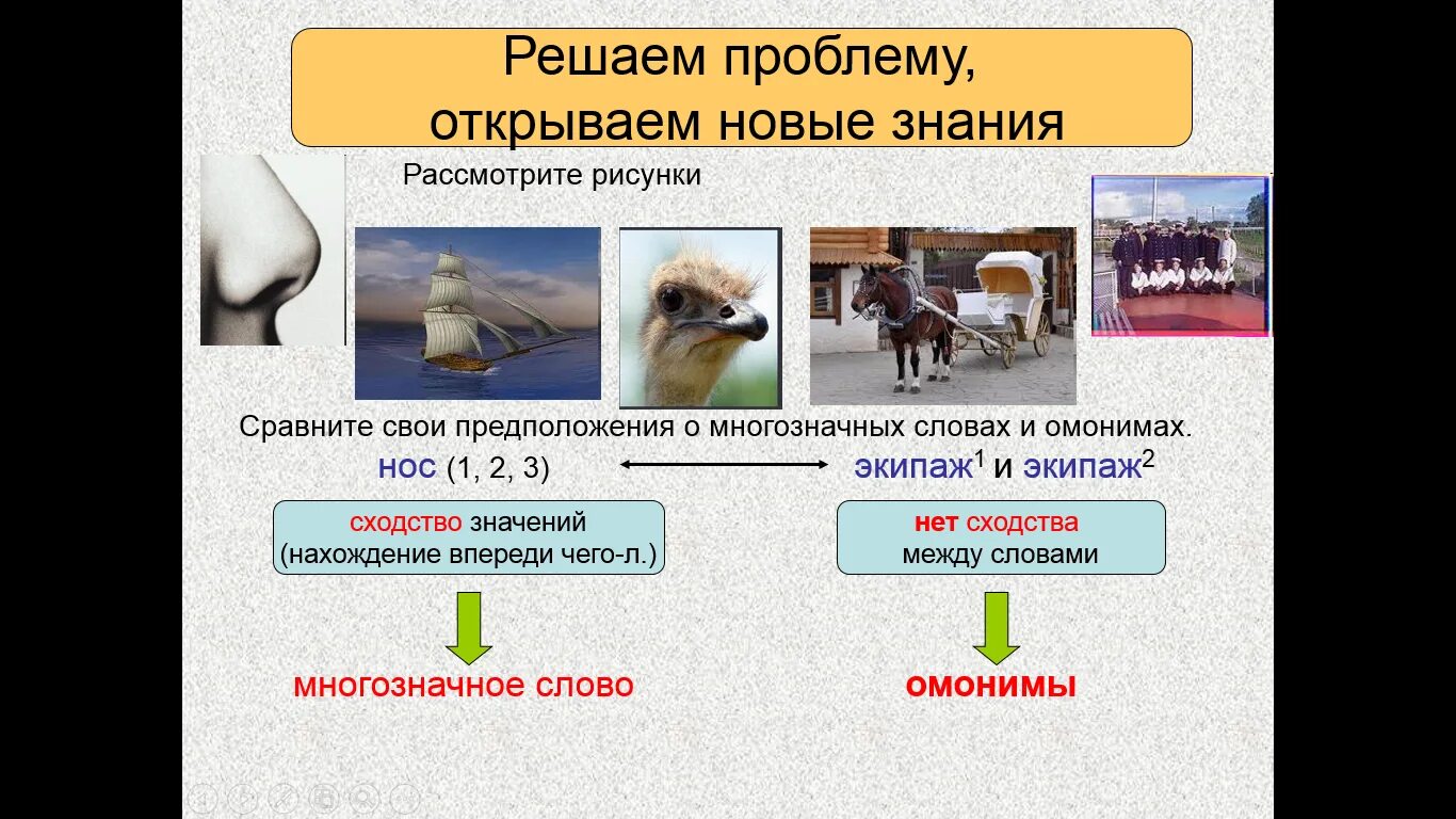 Чем отличаются многозначные слова. Многозначные слова. Все многозначные слова. В чем отличие омонимов от многозначных слов. Что такое многозначные слова в русском языке.