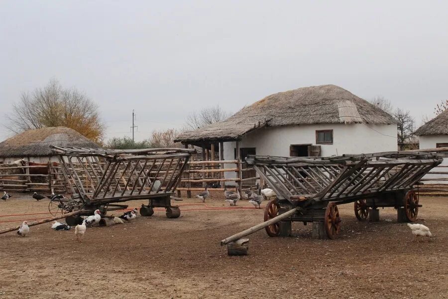 Казачий хутор донской. Казачье подворье в Кружилинском. Казачье подворье 19 века на Кубани. Станица Боргустанская казачье подворье. Хутор Кружилинский Шолоховского района.