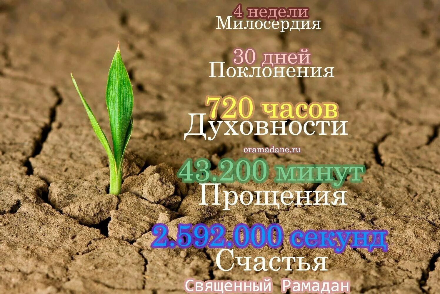 Рамадан месяц милости и прощения. Прощение в день рамадана. рамадан месяц прощения и милости. скоро месяц рамадан. совсем скоро рамадан.