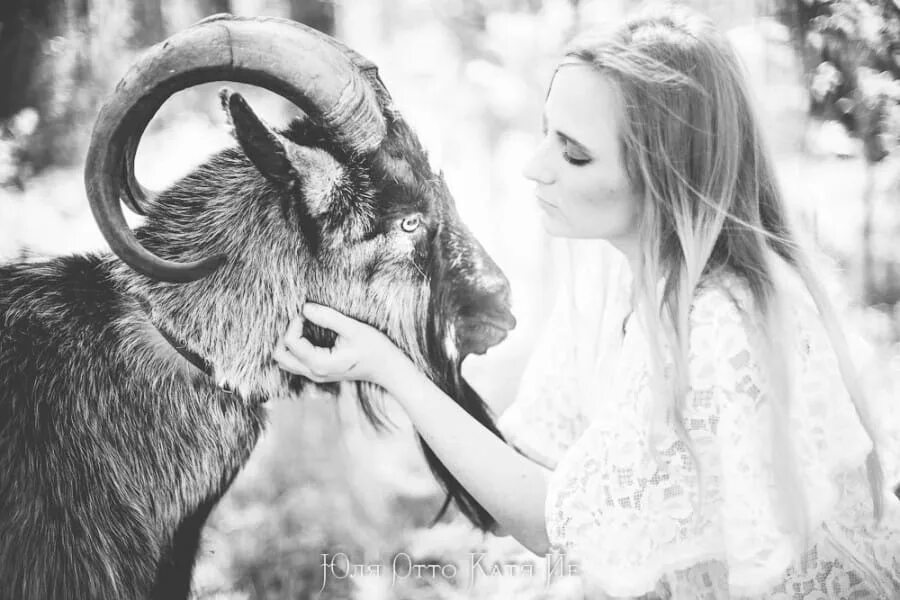 Карельская девица с козликом. Женщина с козлом. Высказывания про козла. Фотосессия с козой. Девушка с козлом.