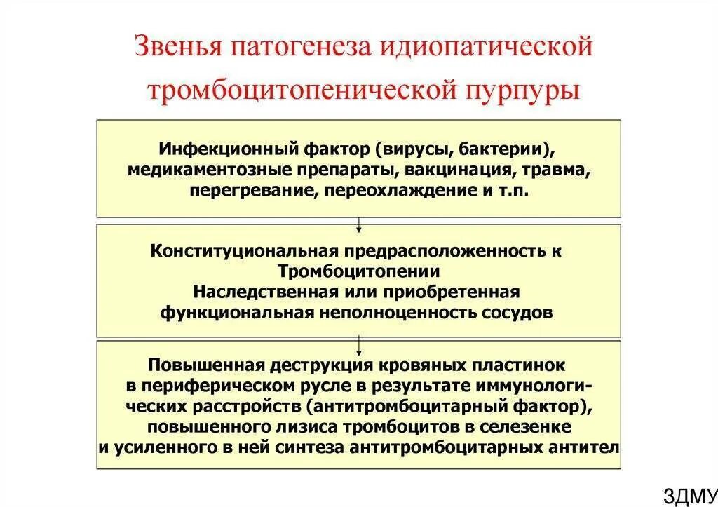 Патогенез тромбоцитопении. Болезнь верльгофа патогенез. иммунная тромбоцитопеническая пурпура этиология патогенез. болезнь верльгофа этиология. тромботическая тромбоцитопеническая пурпура этиология.