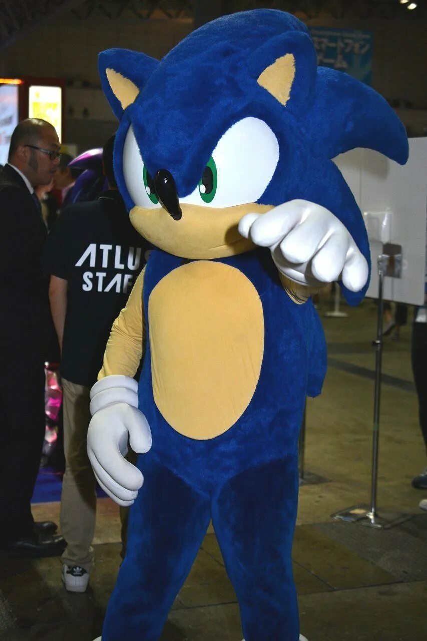 Sonic cosplay. Аниматор Соник бум. Соник костюм аниматора. Косплей Соник бум. Костюм костюм Соника бум.