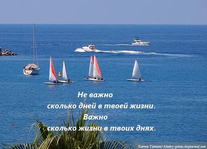 Важно сколько жизни в твоих днях. Неважно сколько дней в твоей жизни. Не важно сколько дней в твоей жизни. Не важно сколько дней в твоей жизни важно сколько жизни в твоих днях