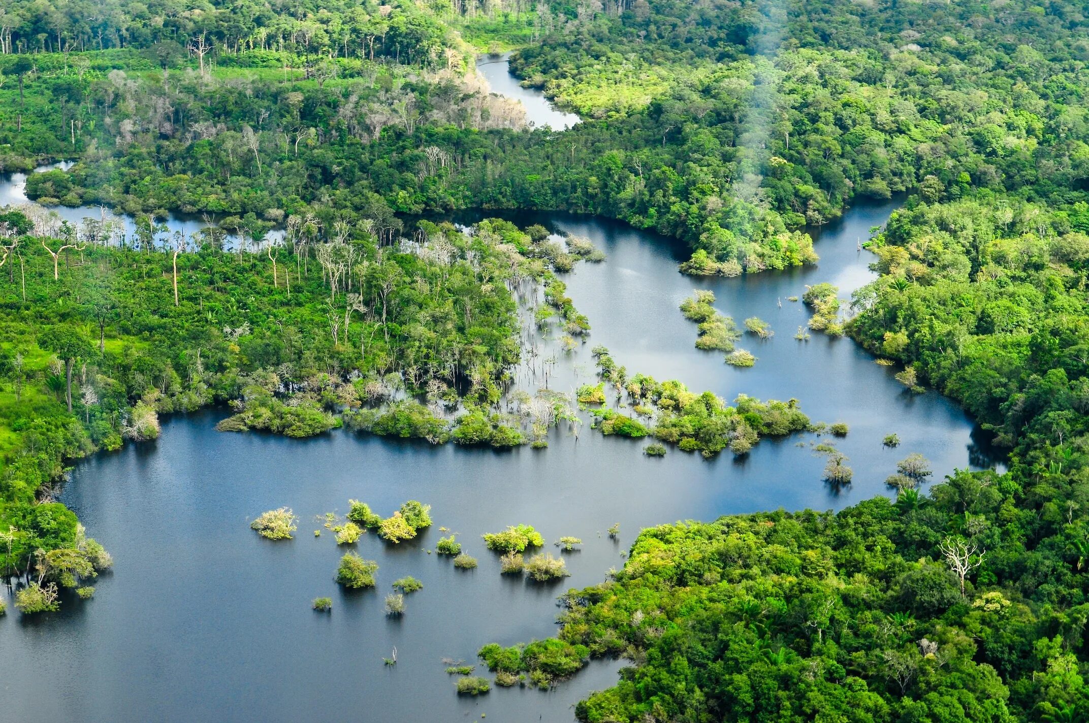 Реки страны бразилия. Бразилия леса амазонки. Амазонская Сельва Бразилии. Река Амазонка в Бразилии. Манаус Бразилия Амазонка.