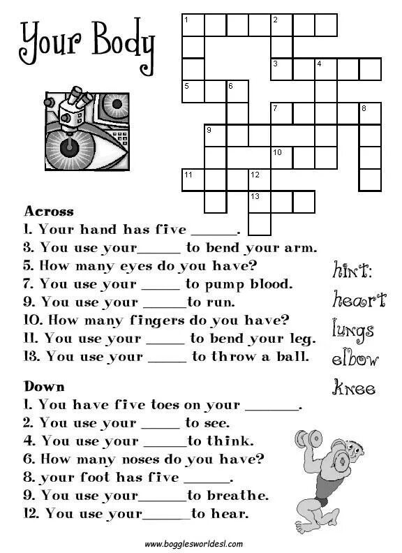 Разгадать кроссворд на английском. Части тела на английском задания. Задания по теме тело на английском. Интересные задания по английскому. Кроссворд части тела на английском.